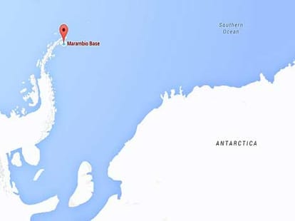 World's oldest fossilised sperm found in Antarctica