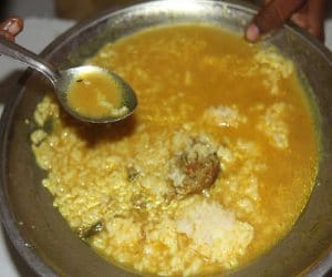 Insects in Mid day meal.