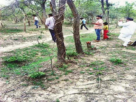 Angry villagers cut into five-acre forest trees