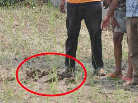 border's farmers affected by pakistan firing