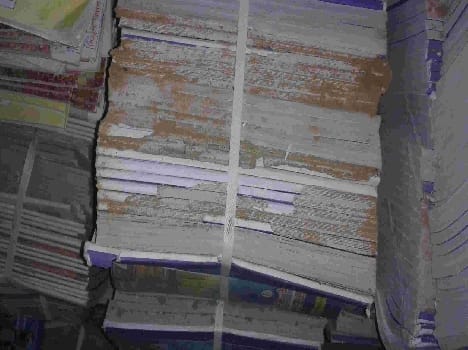 termite on books of basic school