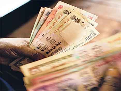 forest department personnel are mugging government revenues 