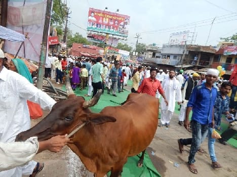 Five animal traffickers arrested by police