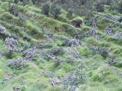 hp govt big decision on land use in himachal.