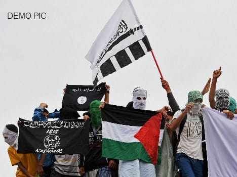 who is waving isis flag in kashmir valley