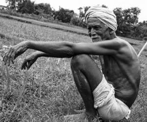 Half truth of farmer sucide