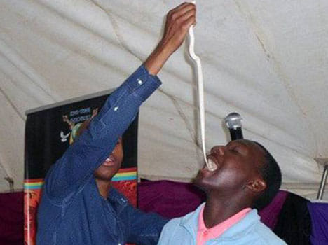 people in South Africa eating snake to turn it in chocolate