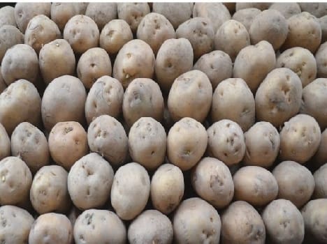 Potato prices fell, cold and waiting clearance
