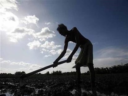 Drought in Uttar Pradesh.