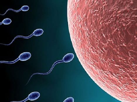 Gay sperm donor fathers 10th child in 13 months