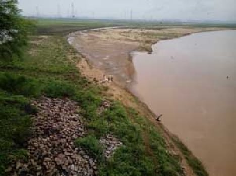 Rihand reservoir fish were killed in the brazen