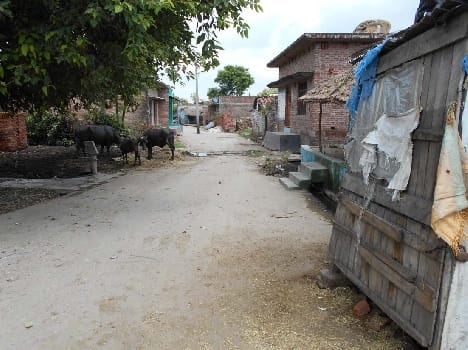 After Shahgarh City An attempt to malign atmosphere