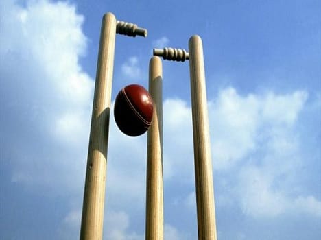 Woman inspector on duty plays cricket, lands in trouble