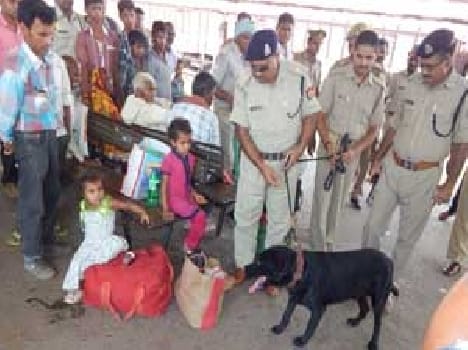 An extensive investigation led by ASP