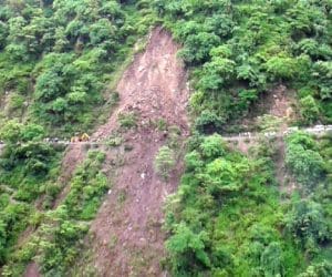 Coconut matting prevent land slides.