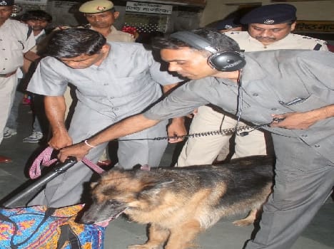 high alert at govardhan mudiya mela