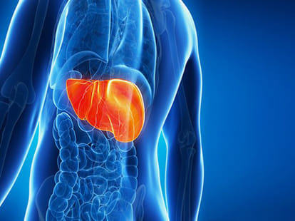 hepatitis day, know here about enemy of liver