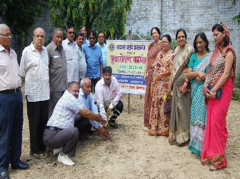 Lions Club planted many species