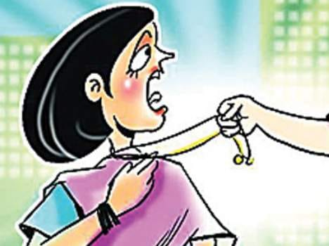 snatchers terror, 4 cases in panchkula in one day