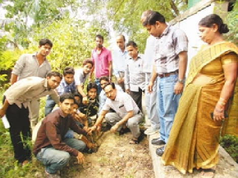 By planting the resolution of environmental protection