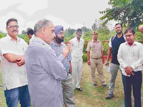 investigation start on tree scam