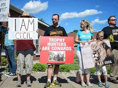 Woman who was sexually harassed by the dentist who killed Cecil the lion speaks out