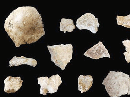 Did early humans eat their CHILDREN? 