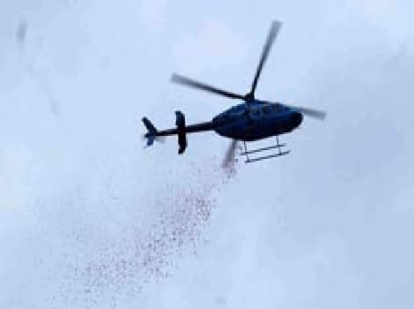 Helicopter showered flowers