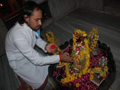 Naive devotees engaged in the line of court
