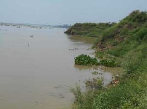  Intersection capacitance nine bigha land in Ganga