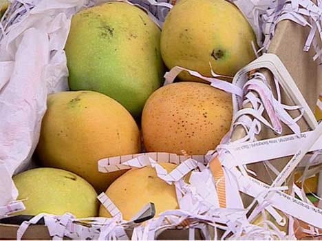 mango diplomacy between india and pakistan