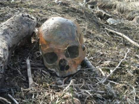 skull found in lahaul chokhang.