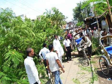 Fallen trees, young man injured traffic disruption