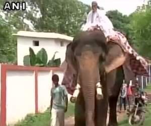 jdu mla sitiing on elephant went to vidhansabha