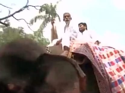 jdu mla sitiing on elephant went to vidhansabha