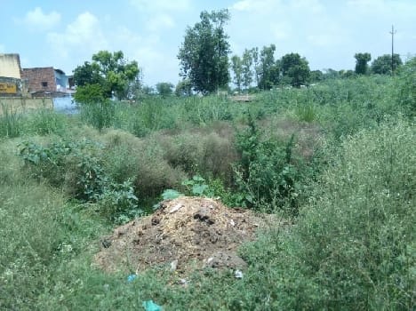 mob have killed the accused of gangrape in mathura