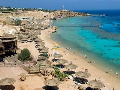 grandmother stole £500,000 from work for Egyptian toy boy she met on holiday