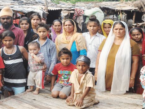 Pakistani refugees's pain will shown at cinema.