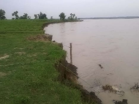 Four turned and 16 acres Sharda ground capacitance