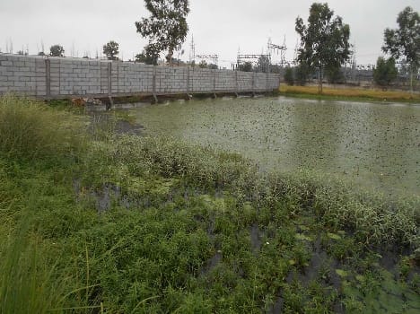 Purnpur countryside village ponds to capture 40 !