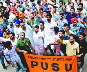punjab university chandigrh student council election
