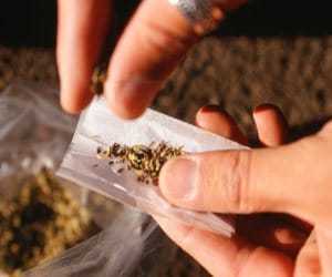 bjp leaders saved drug smugglers from police, case filed