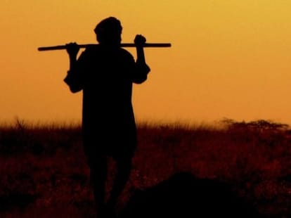 Farmer suicide statistics