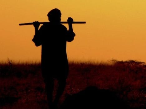 25,000 Mathura farmers seek Prez permission to hang themselves