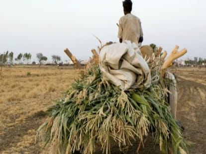 this person was on hunger strike for rain