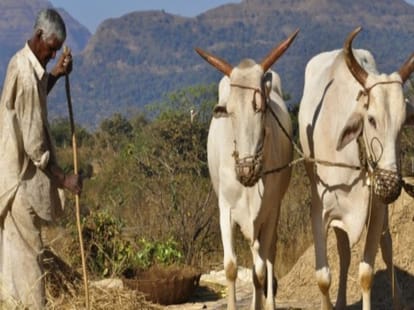 Farmer suicide statistics