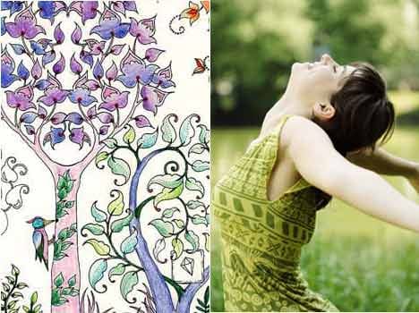 colouring books for adults are the next big thing in relaxation