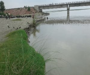 woman jumped into river with child