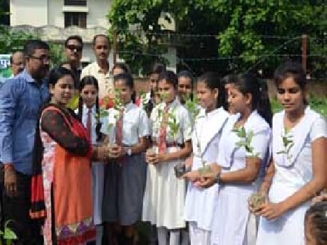 The school has students Plantation