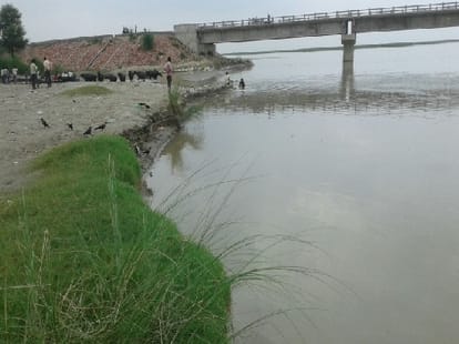 during Selfie 2 friends fell in canal  and killed